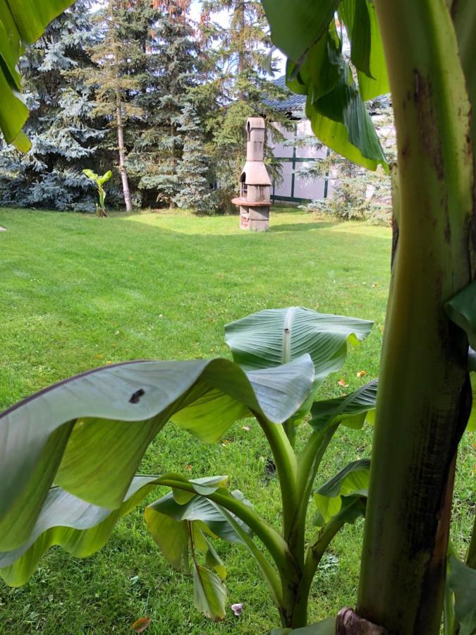 Mönkebude Stettiner Haff Nebengebaeudeヴィラ エクステリア 写真